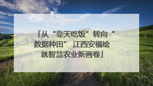从“靠天吃饭”转向“数据种田” 江西安福绘就智慧农业新画卷