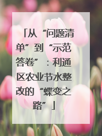 从“问题清单”到“示范答卷”：利通区农业节水整改的“蝶变之路”