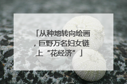 从种地转向绘画，巨野万名妇女链上“花经济”