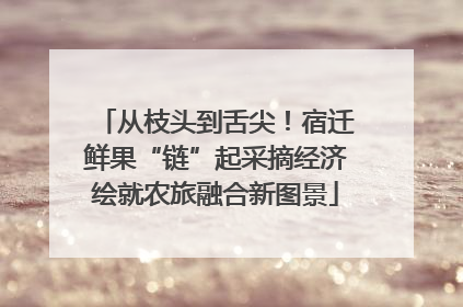 从枝头到舌尖！宿迁鲜果“链”起采摘经济绘就农旅融合新图景