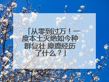 从零到过万！一度本土灭绝如今种群复壮 麋鹿经历了什么？