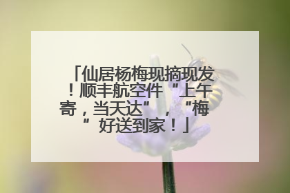 仙居杨梅现摘现发！顺丰航空件“上午寄，当天达”，“梅”好送到家！