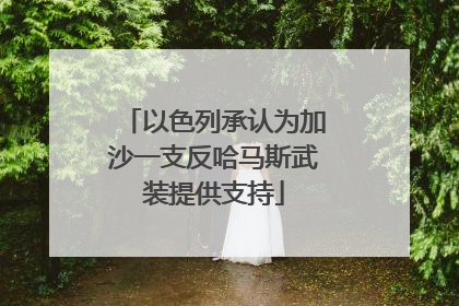 以色列承认为加沙一支反哈马斯武装提供支持