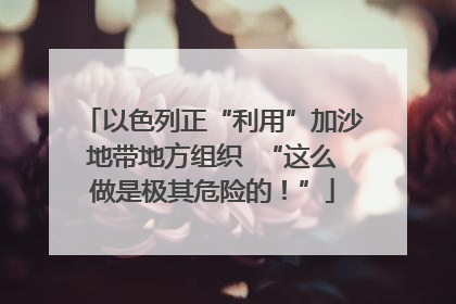 以色列正“利用”加沙地带地方组织  “这么做是极其危险的！”