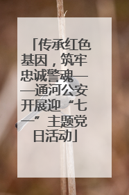 传承红色基因，筑牢忠诚警魂——通河公安开展迎“七一”主题党日活动