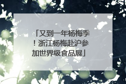 又到一年杨梅季！浙江杨梅赴沪参加世界级食品展