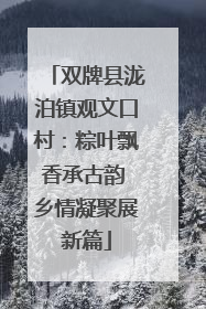 双牌县泷泊镇观文口村：粽叶飘香承古韵 乡情凝聚展新篇