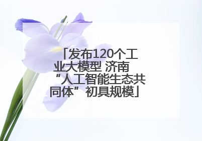 发布120个工业大模型 济南 “人工智能生态共同体”初具规模