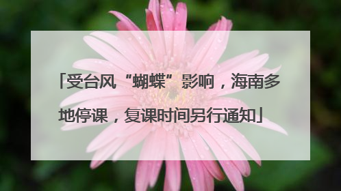 受台风“蝴蝶”影响，海南多地停课，复课时间另行通知