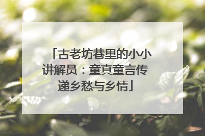 古老坊巷里的小小讲解员：童真童言传递乡愁与乡情