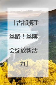 古都携手丝路！丝博会绽放新活力