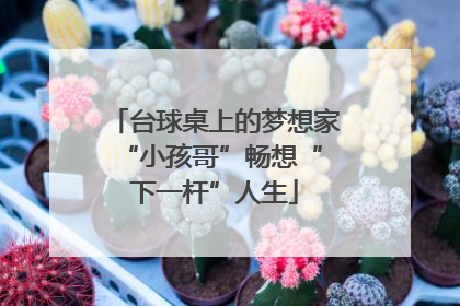 台球桌上的梦想家 “小孩哥”畅想“下一杆”人生