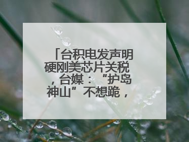 台积电发声明硬刚美芯片关税，台媒：“护岛神山”不想跪，赖当局呢？