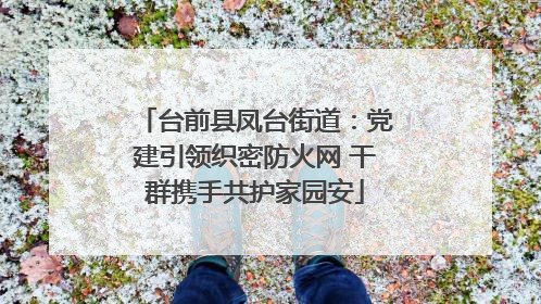 台前县凤台街道：党建引领织密防火网 干群携手共护家园安