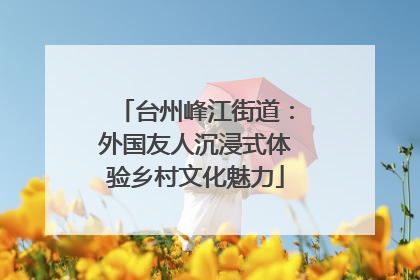 台州峰江街道：外国友人沉浸式体验乡村文化魅力
