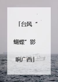 台风“蝴蝶”影响广西