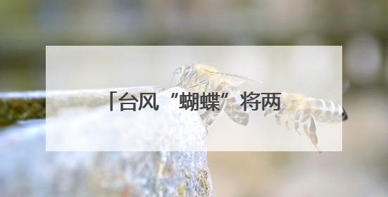 台风“蝴蝶”将两次登陆我国！福建继续发布暴雨预警！