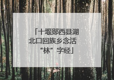 十堰郧西县湖北口回族乡念活“林”字经