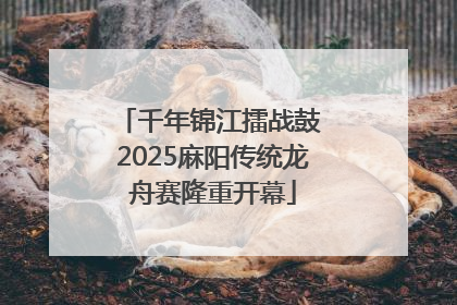 千年锦江擂战鼓 2025麻阳传统龙舟赛隆重开幕