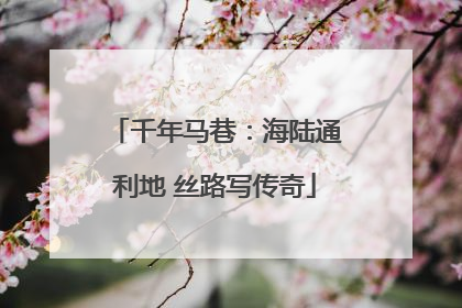 千年马巷：海陆通利地 丝路写传奇