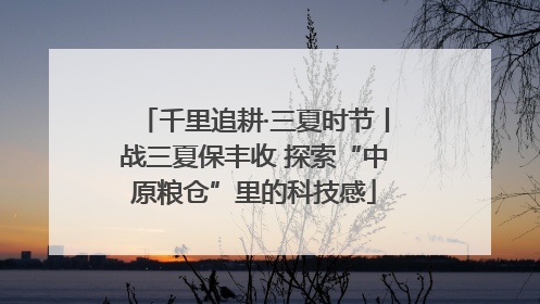 千里追耕·三夏时节丨战三夏保丰收 探索“中原粮仓”里的科技感