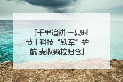 千里追耕·三夏时节丨科技“铁军”护航 麦收颗粒归仓