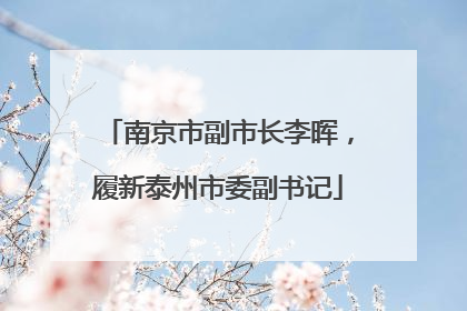 南京市副市长李晖，履新泰州市委副书记