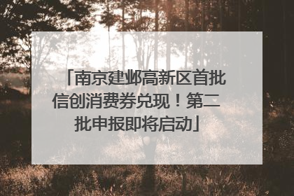 南京建邺高新区首批信创消费券兑现！第二批申报即将启动