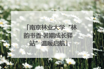 南京林业大学“林韵书香·暑期成长驿站”温暖启航