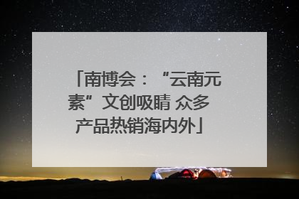 南博会：“云南元素”文创吸睛 众多产品热销海内外