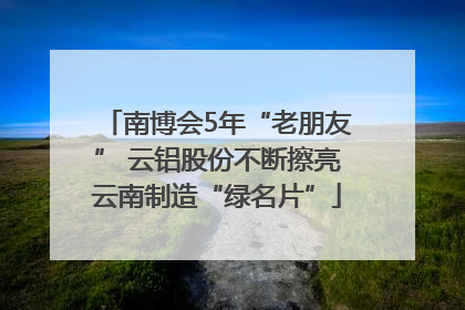 南博会5年“老朋友” 云铝股份不断擦亮云南制造“绿名片”