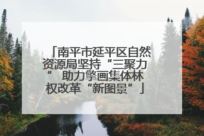 南平市延平区自然资源局坚持“三聚力” 助力擎画集体林权改革“新图景”