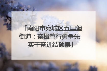 南阳市宛城区五里堡街道：奋楫笃行勇争先 实干奋进结硕果