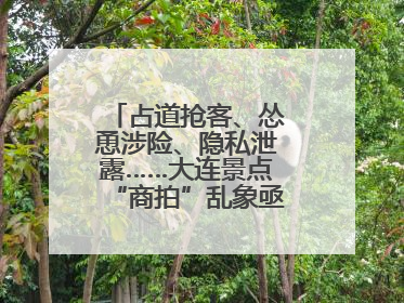 占道抢客、怂恿涉险、隐私泄露……大连景点“商拍”乱象亟待“严管”