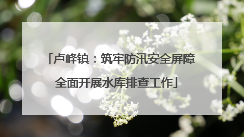 卢峰镇：筑牢防汛安全屏障 全面开展水库排查工作