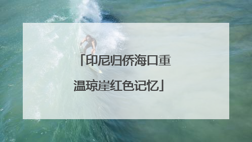 印尼归侨海口重温琼崖红色记忆