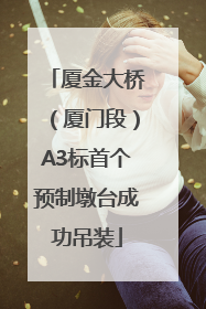 厦金大桥（厦门段）A3标首个预制墩台成功吊装