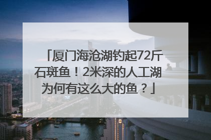 厦门海沧湖钓起72斤石斑鱼！2米深的人工湖为何有这么大的鱼？