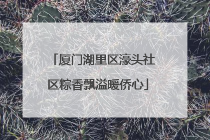 厦门湖里区濠头社区粽香飘溢暖侨心