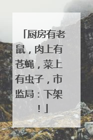 厨房有老鼠，肉上有苍蝇，菜上有虫子，市监局：下架！