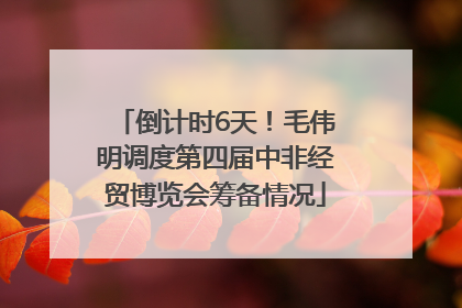 倒计时6天！毛伟明调度第四届中非经贸博览会筹备情况
