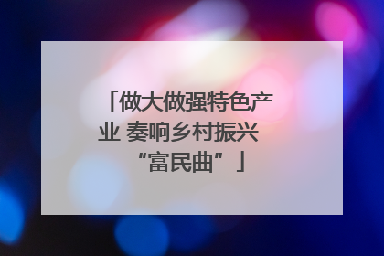 做大做强特色产业 奏响乡村振兴“富民曲”