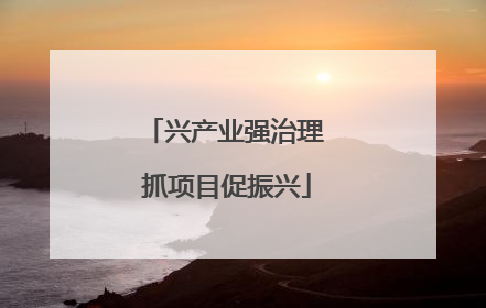 兴产业强治理 抓项目促振兴