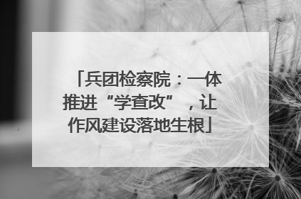 兵团检察院：一体推进“学查改”，让作风建设落地生根