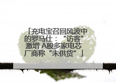 充电宝召回风波中的罗马仕：“访客”激增 A股多家电芯厂商称“未供货”