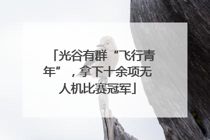 光谷有群“飞行青年”，拿下十余项无人机比赛冠军
