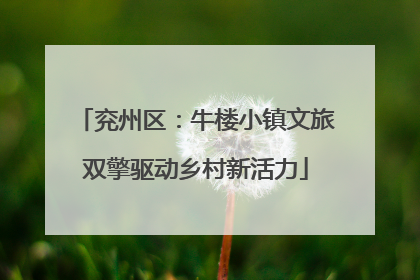 兖州区：牛楼小镇文旅双擎驱动乡村新活力