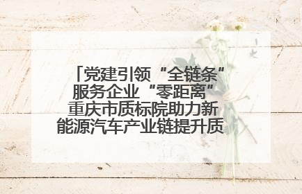 党建引领“全链条” 服务企业“零距离” 重庆市质标院助力新能源汽车产业链提升质量管理水平
