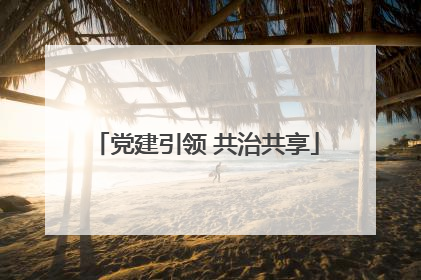 党建引领 共治共享