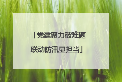 党建聚力破难题 联动防汛显担当